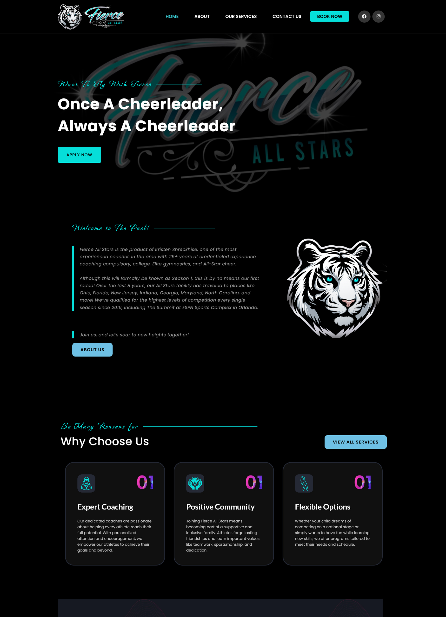fierceallstars.org